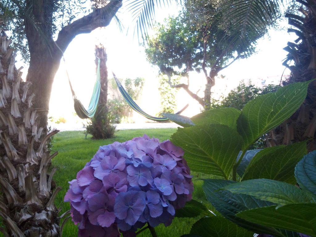 Nora Guesthouse Rooms And Villas プーラ エクステリア 写真